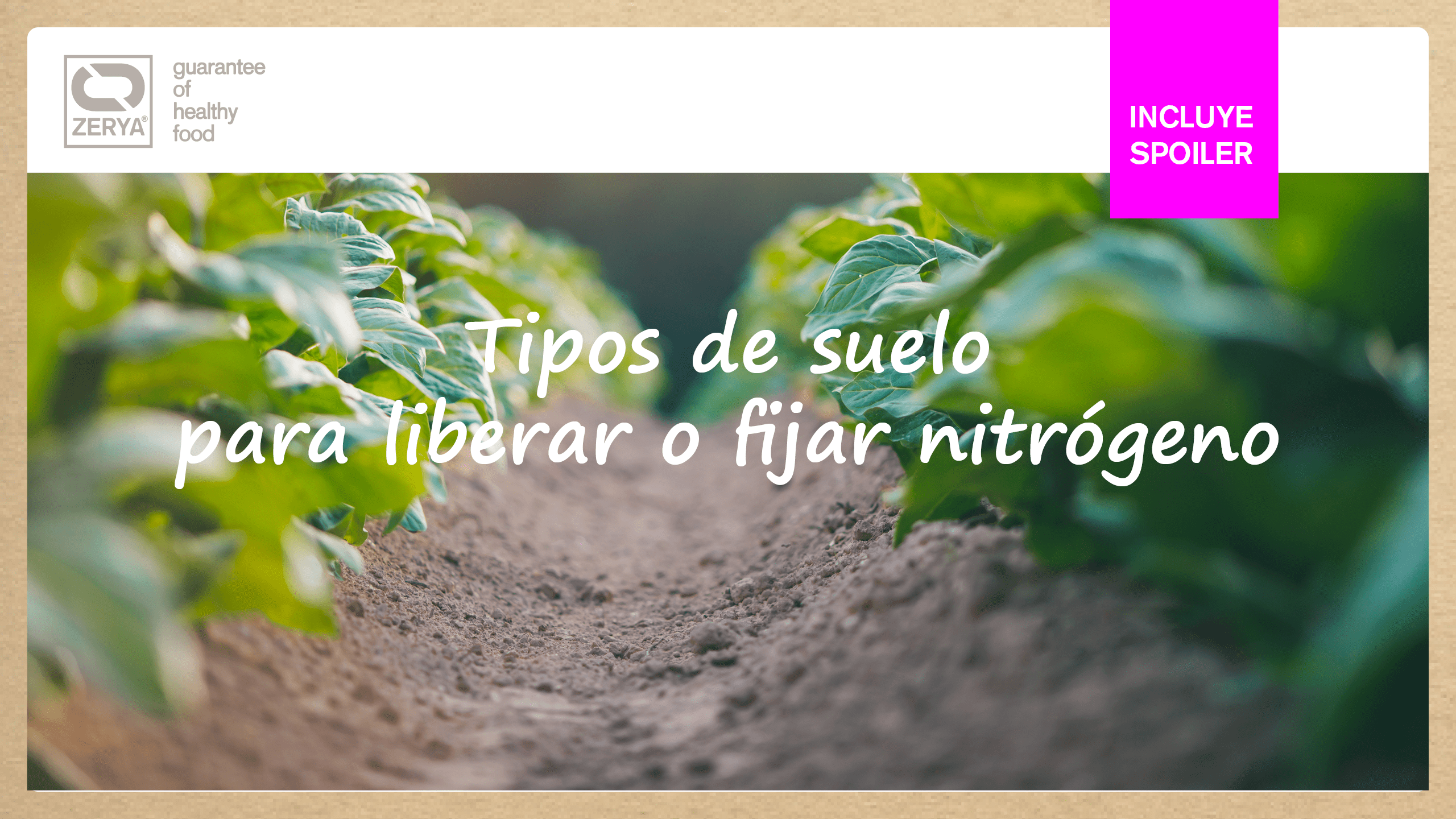 Nitrógeno ZERYA